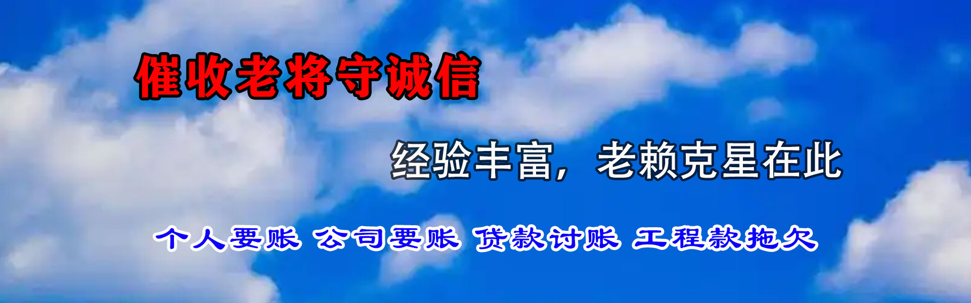 乐安收数公司